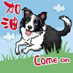 Border Collie-A Mao's Greetings