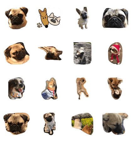 Dog house1