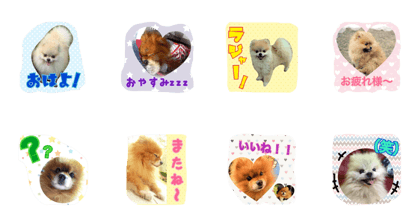 Chibi&waka