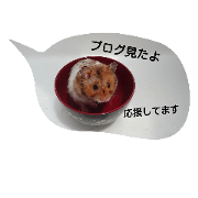 Try HAMUTA blog dragon