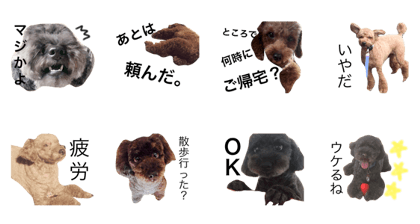 dog langue