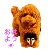 popo with friends