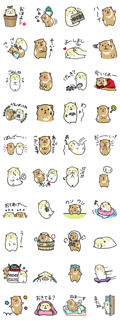Dayly life of my guinea pigs (part2)