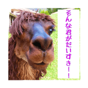 Alpaca's stamp