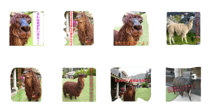 Alpaca's stamp