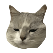 shinoharastump