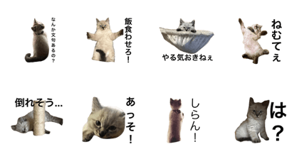 tororo no tekitou stamp