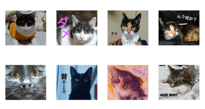 nekodarakedake