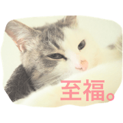Kotaro&Nachi