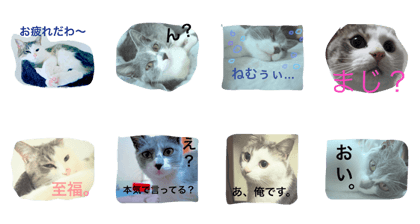 Kotaro&Nachi