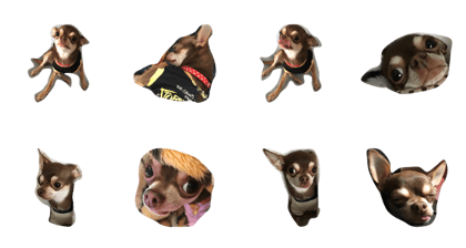 Dog.Sinba