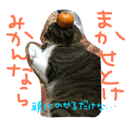 anegokenomokasama