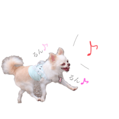 りん太郎スタンプpart2❤︎