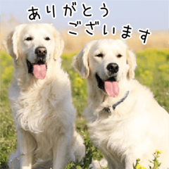 とうそらの楽しい毎日