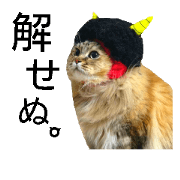 Cat's picture
