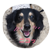 KOJIchan