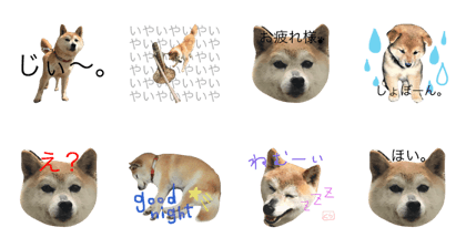 kurara&chappi