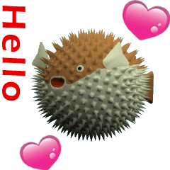 CG Porcupinefish (2)