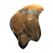 minityuadakkusunohitokoto