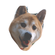 stamp ofShibaInu