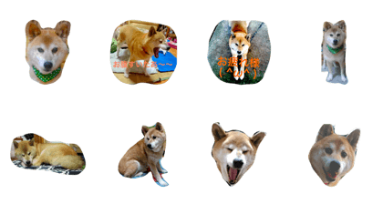 stamp ofShibaInu