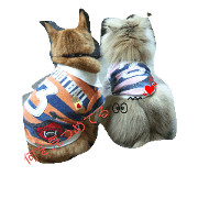 cat00002