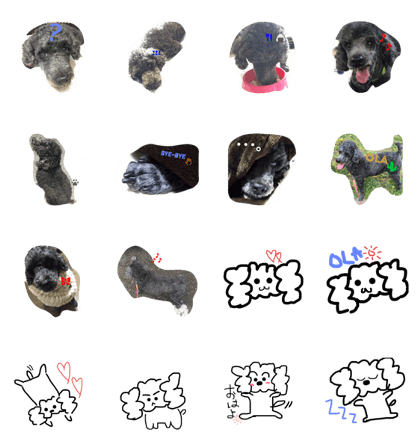 blackpoodle