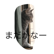 shouchan's mind