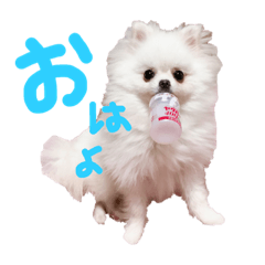miki_20210406212815