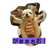 torobu