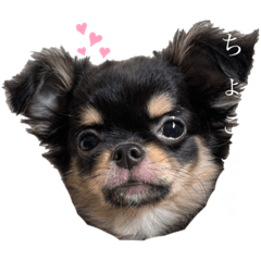 Chihiro_20210406225043