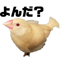 nanami_20210406225938