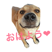 cute!yujiro