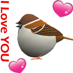 CG Sparrow (1)