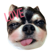 kotaro's stamp4
