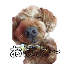 smile_20210407105107