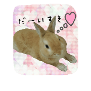 lovelyRabbit!