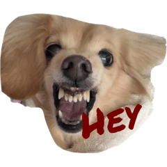 ARISA_20210407000142