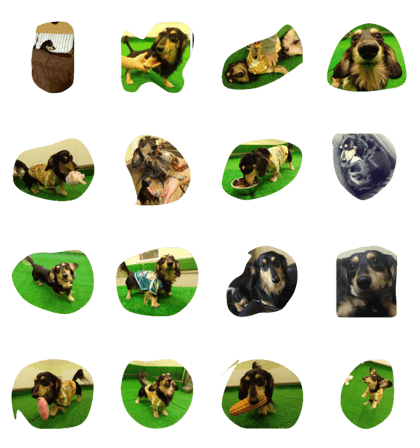 MINIATUREDACHS MINIATUREDACHS