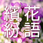 Flower language Colorful