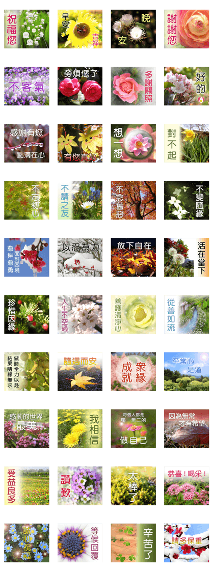 Flower language Colorful