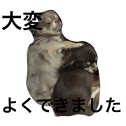 Roy&Mugi Part1 Roy&Mugi Part1