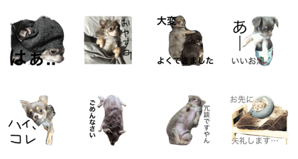 Roy&Mugi Part1 Roy&Mugi Part1