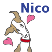 Nico the whippet