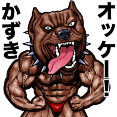 Kazuki dedicated Muscle macho animal