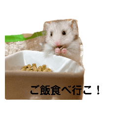 namihei_