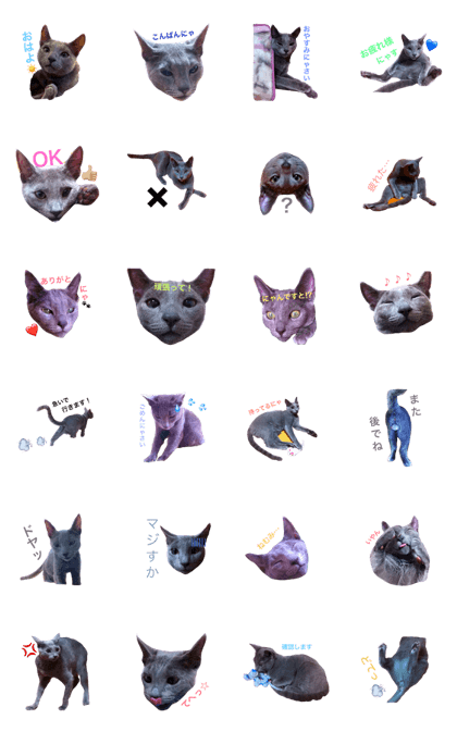 AOkun the russianblue 1 <Baby ver.> AOkun the russianblue 1 <Baby ver.>