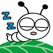 Dongdong day Dongdong day