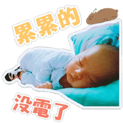 Enjoy's life Enjoy's life