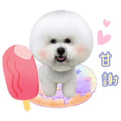 比比熊家族